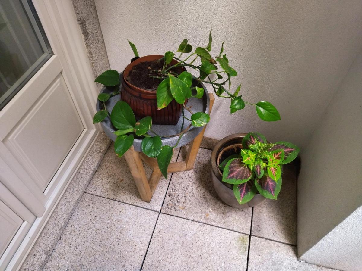 Santa Catarina Patio Apartment - With Washer Machine Porto Bagian luar foto